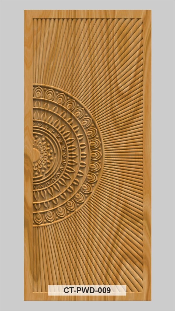 CT-PWD-009 CT-PWD-009